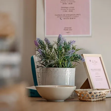 Hotel Boutique La Brisa